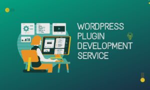 WordPress Plugin Development Service WordPress Plugin Development Service