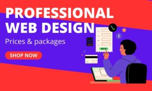 Professional Web Design Prices – Packages with Hosting, Domain & Support Professional Web Design Prices – Packages with Hosting, Domain & Support