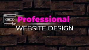 Professional Website Developer Professional Website Developer
